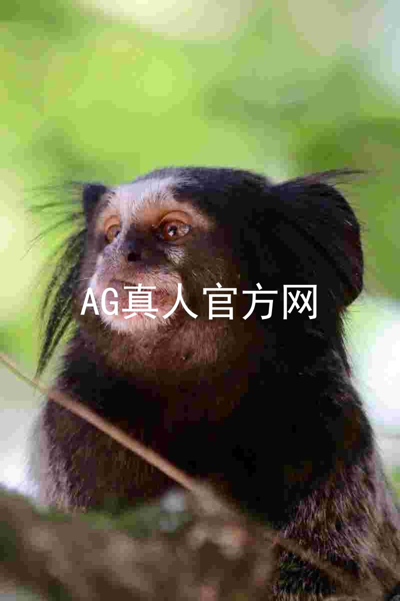 AG真人官方网